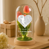 Ewige Tulpe in Glaskuppel als Valentinstagsgeschenk von Love & Faith